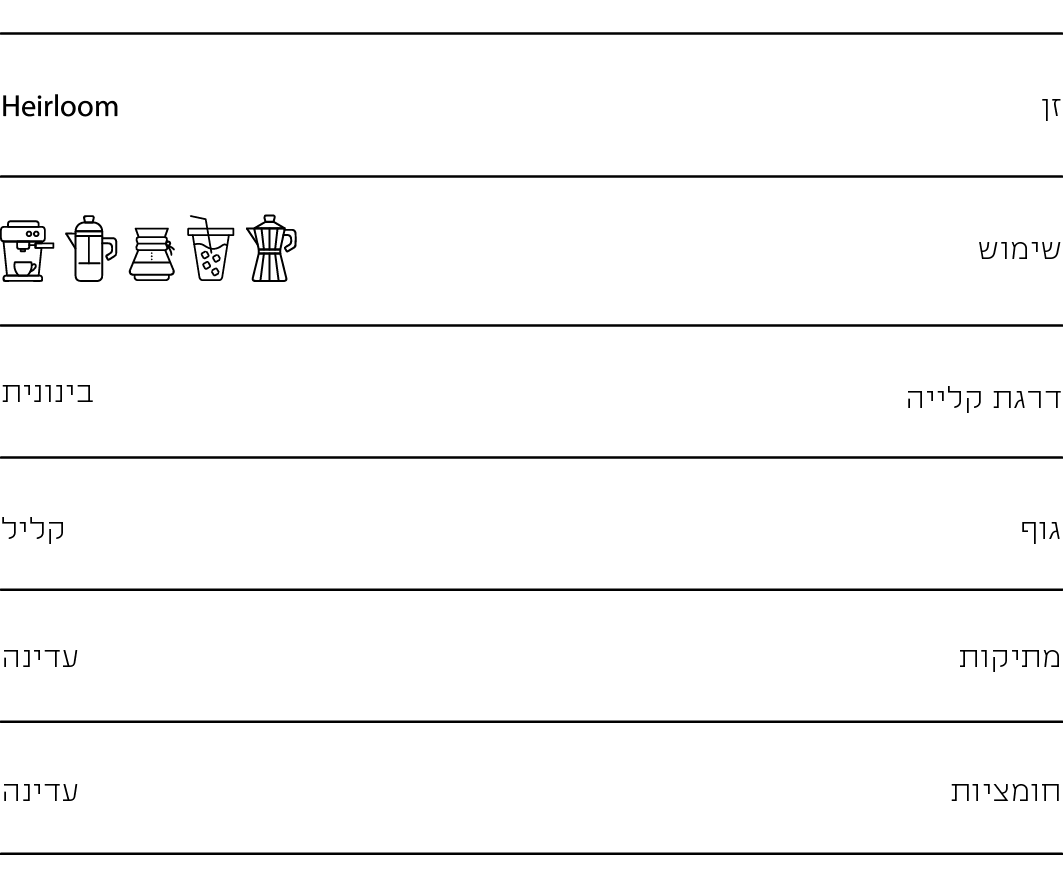 יוני 1 - חד זני - אתיופיה יירגשף