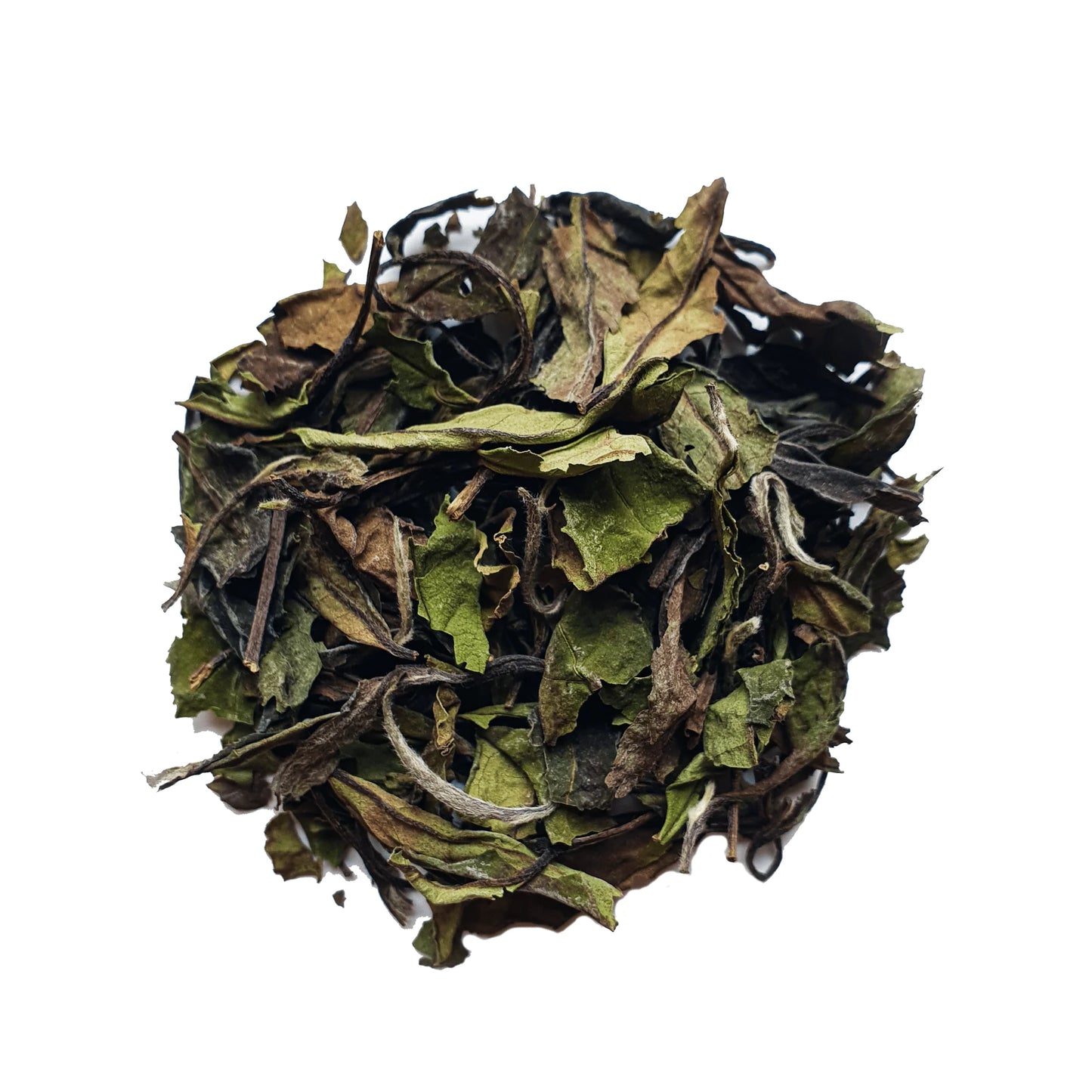 דצמבר 3 - אדמונית לבנה