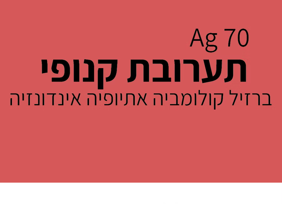 ינואר 2 - Canopy - תערובת קפה קנופי (אספרסו)