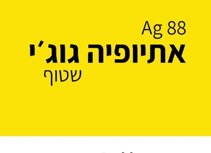 ינואר 2 - Canopy - אתיופיה גוג׳י אומניה שטוף (פילטר)