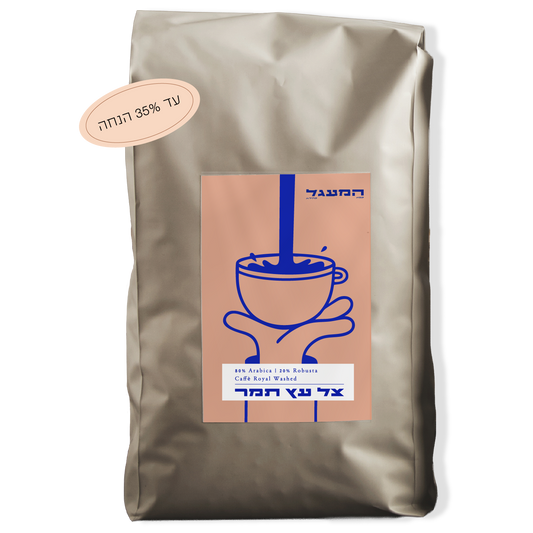 פברואר 1 - צל עץ תמר (80/20)