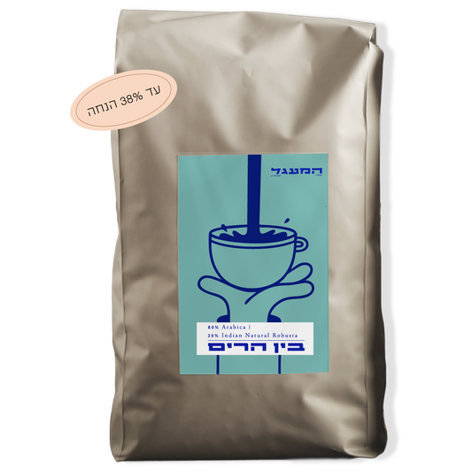 פברואר 1 - בין הרים (80/20)